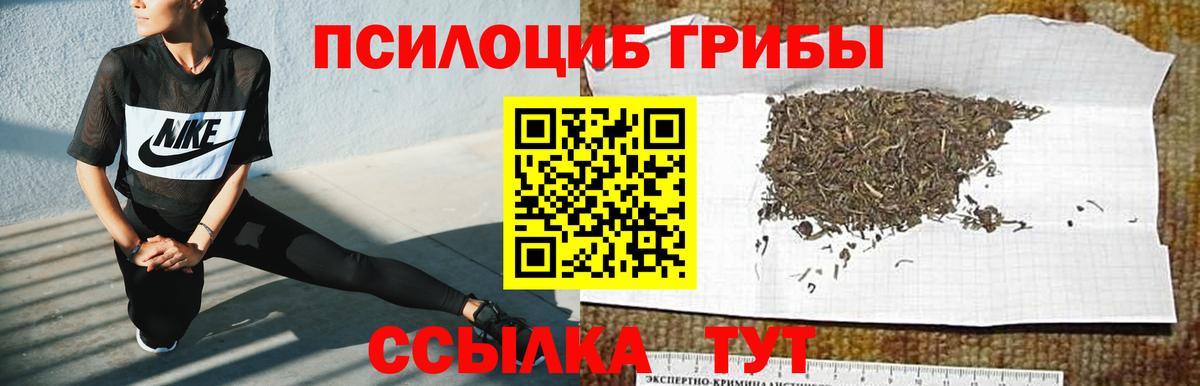 Воркута  Галлюциногенные грибы Cubensis  Псилоцибиновые грибы GOLDEN TEACHER  Вход с VPN 